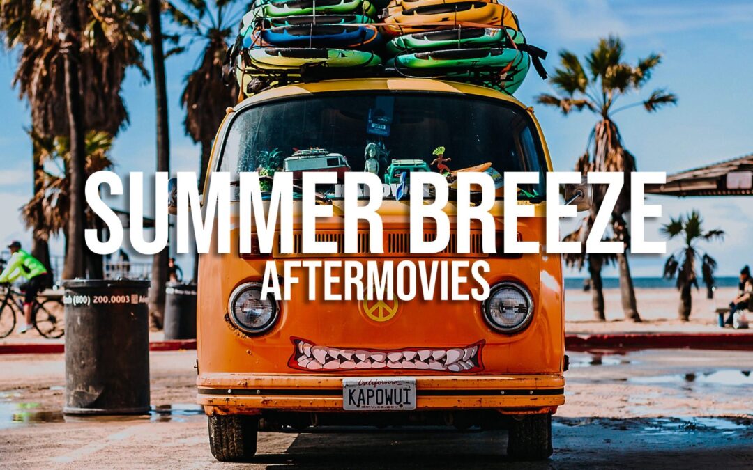 Aftermovies SummerBreeze 2020